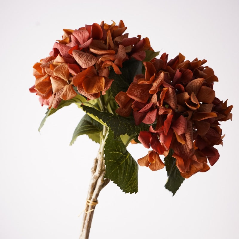 002Vintage Decor Autumn Tones Hydrangeas, Premium Real Moist Touch Artificial Hydrangea for Flower Arrangement, Meida Brown Coffee Shades