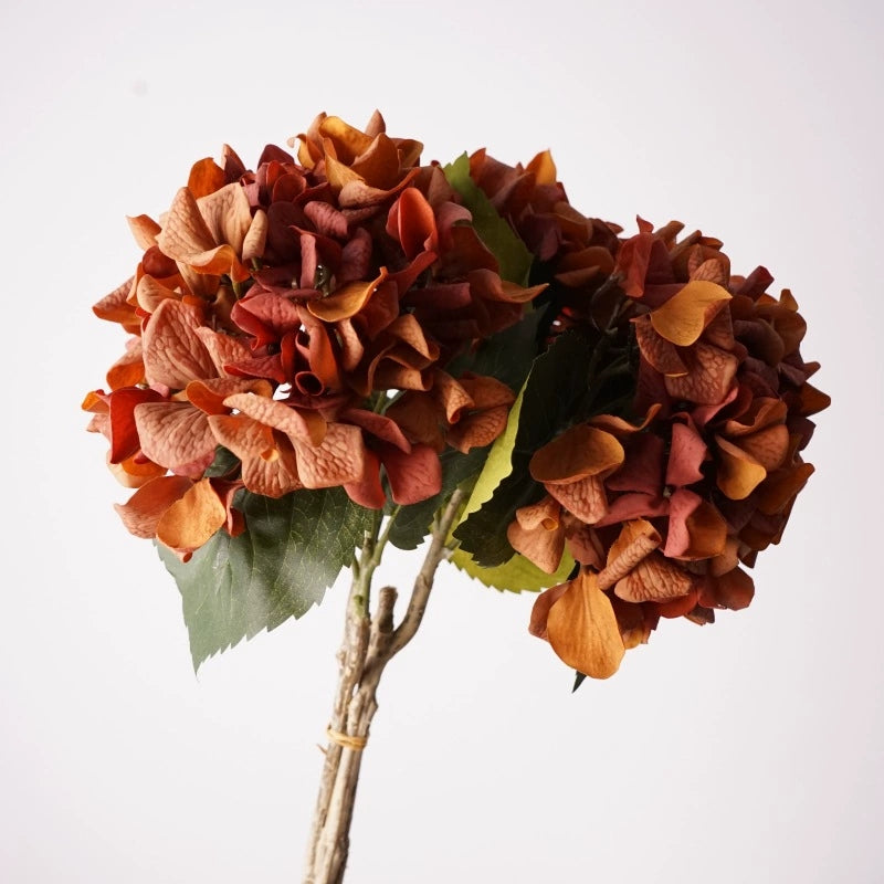 002Vintage Decor Autumn Tones Hydrangeas, Premium Real Moist Touch Artificial Hydrangea for Flower Arrangement, Meida Brown Coffee Shades