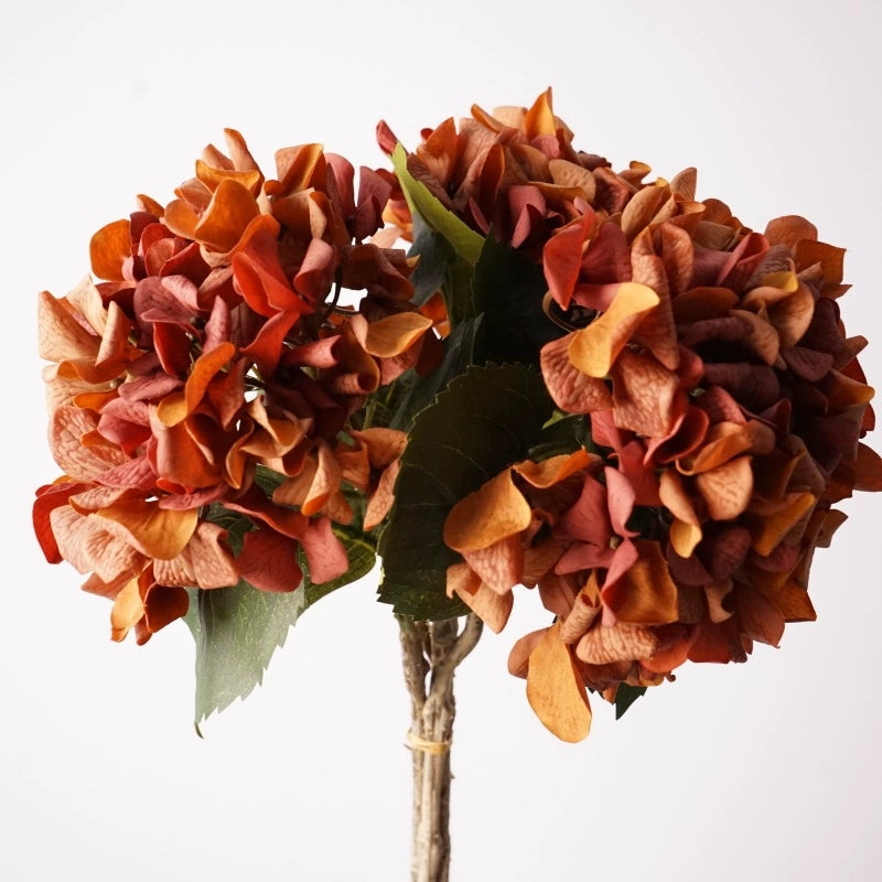 002Vintage Decor Autumn Tones Hydrangeas, Premium Real Moist Touch Artificial Hydrangea for Flower Arrangement, Meida Brown Coffee Shades