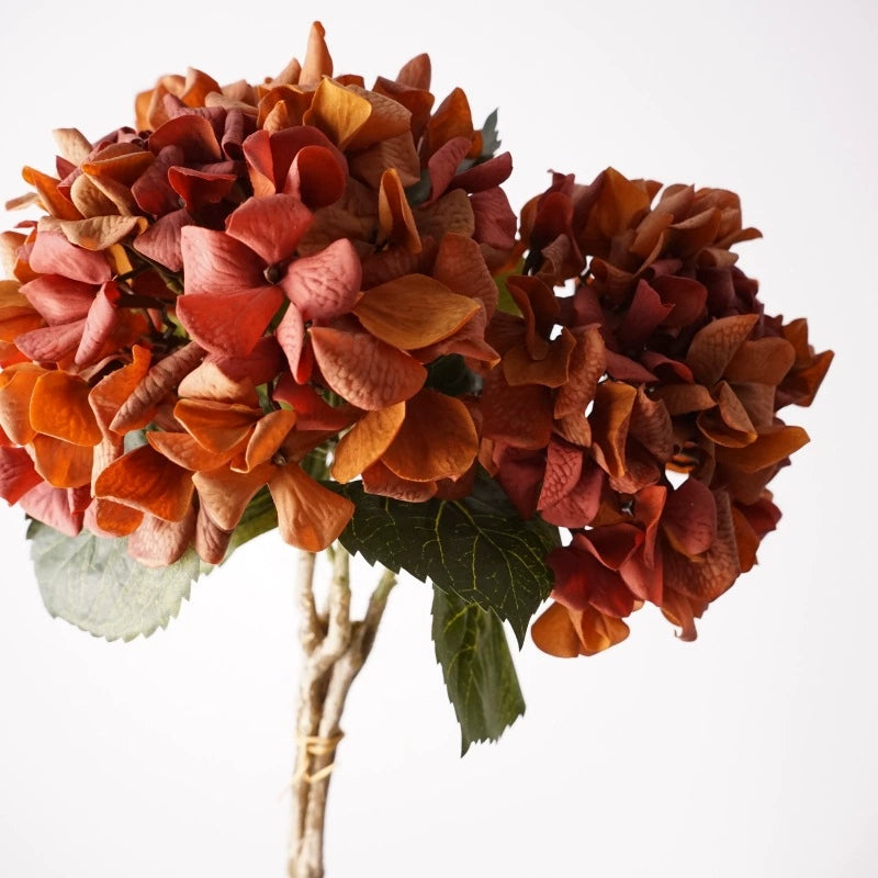002Vintage Decor Autumn Tones Hydrangeas, Premium Real Moist Touch Artificial Hydrangea for Flower Arrangement, Meida Brown Coffee Shades
