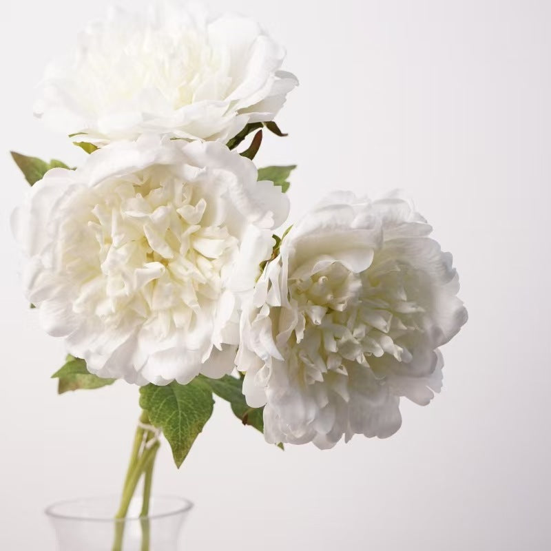 004Premium Real Moist Touch Artificial Peonies, Floral Arrangements for Home Soft Decor, Photo Props & Wedding Hotel Landscape Decoration