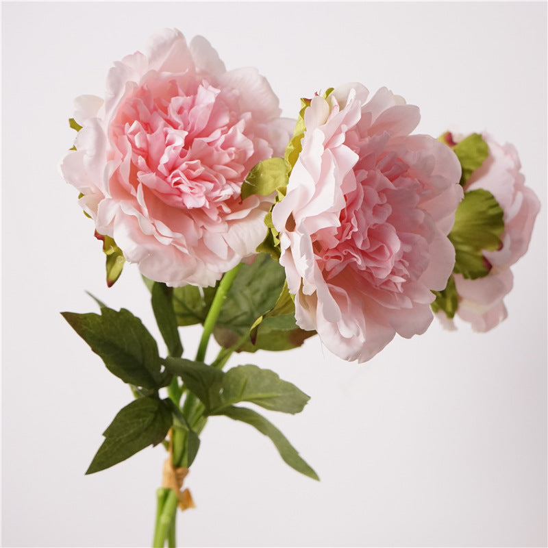 004Premium Real Moist Touch Artificial Peonies, Floral Arrangements for Home Soft Decor, Photo Props & Wedding Hotel Landscape Decoration