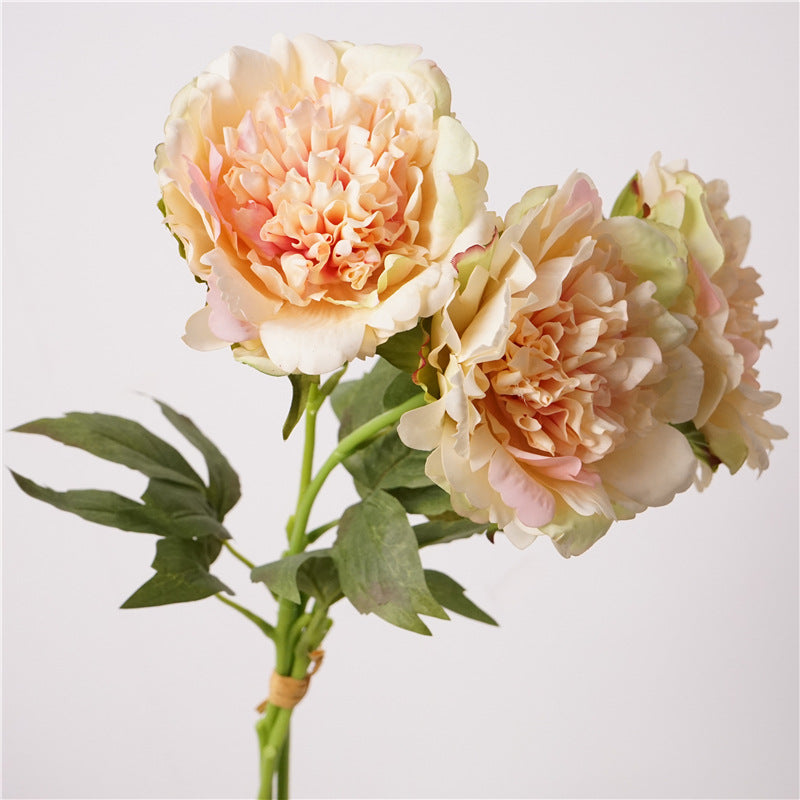 004Premium Real Moist Touch Artificial Peonies, Floral Arrangements for Home Soft Decor, Photo Props & Wedding Hotel Landscape Decoration