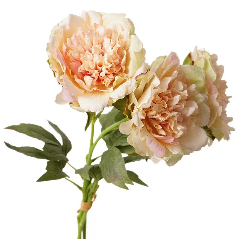 004Premium Real Moist Touch Artificial Peonies, Floral Arrangements for Home Soft Decor, Photo Props & Wedding Hotel Landscape Decoration