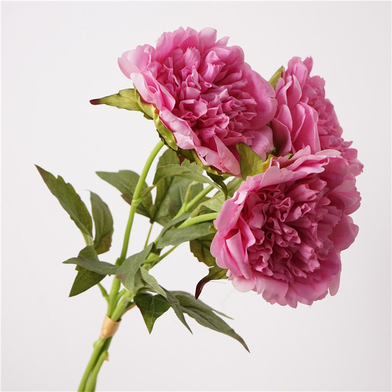004Premium Real Moist Touch Artificial Peonies, Floral Arrangements for Home Soft Decor, Photo Props & Wedding Hotel Landscape Decoration