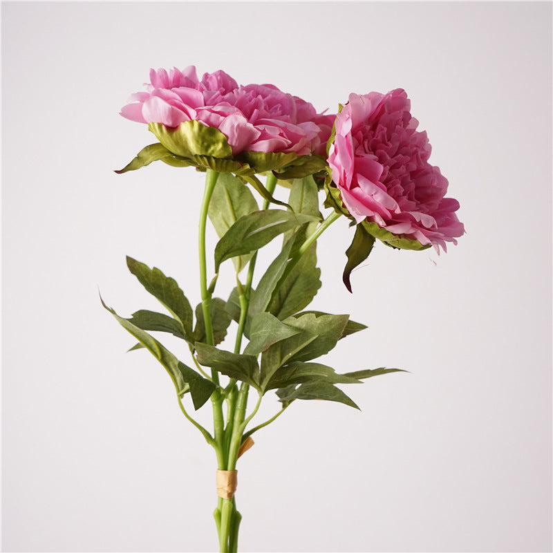 004Premium Real Moist Touch Artificial Peonies, Floral Arrangements for Home Soft Decor, Photo Props & Wedding Hotel Landscape Decoration