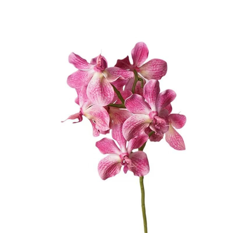006Premium Artificial 7-Stem Vanda Orchids, Silk Fake Flowers for Vase Arrangements, Potted Tabletop & Home Decor Ornaments