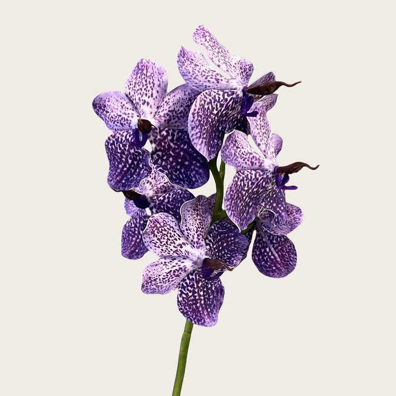 006Premium Artificial 7-Stem Vanda Orchids, Silk Fake Flowers for Vase Arrangements, Potted Tabletop & Home Decor Ornaments