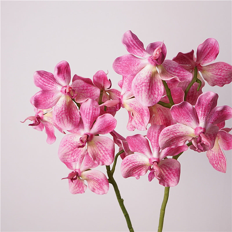 006Premium Artificial 7-Stem Vanda Orchids, Silk Fake Flowers for Vase Arrangements, Potted Tabletop & Home Decor Ornaments
