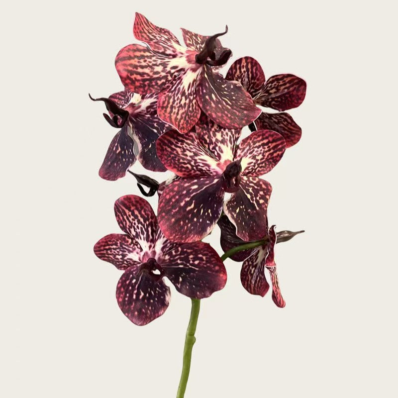 006Premium Artificial 7-Stem Vanda Orchids, Silk Fake Flowers for Vase Arrangements, Potted Tabletop & Home Decor Ornaments